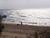 Shore