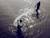 Fishing for stars - Tel Aviv - Gilad Benari