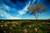 One of these days - Ramat Gan - Gilad Benari
