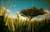 Still standing - Beer Sheva - Gilad Benari