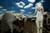 The little albino - Zeelim - Gilad Benari