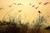 Waiting for the sun - Arava - Gilad Benari