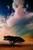 Still standing - dead sea - gilad benari