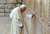 Jean-Paul II au Mur des Lamentations
