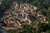 The Valley of Community at Yad Vashem