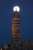 Tower of David