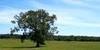 nature climat