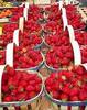 fraises fruits