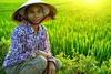 VIETNAM ASIE