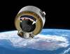 microsatellite