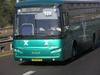 egged bus