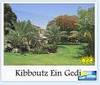 kibboutz