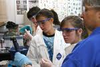 BIOTECH