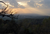 20110103053332 jpg