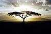 AFRIQUE
