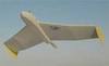 Blue Bird Drone